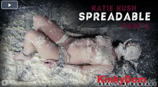 RealTimeBondage - Katie Kush - Spreadable Part 2 [720p] (BDSM)