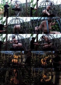 SensualPain - Abigail Dupree - Caged Outdoor Salacity [720p] (BDSM)