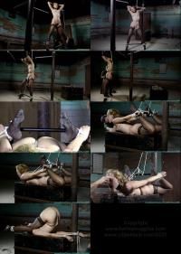 FutileStruggles, Clips4Sale - Ariel Anderssen - Slave Position Training For Ariel Anderssen [480p] (BDSM)