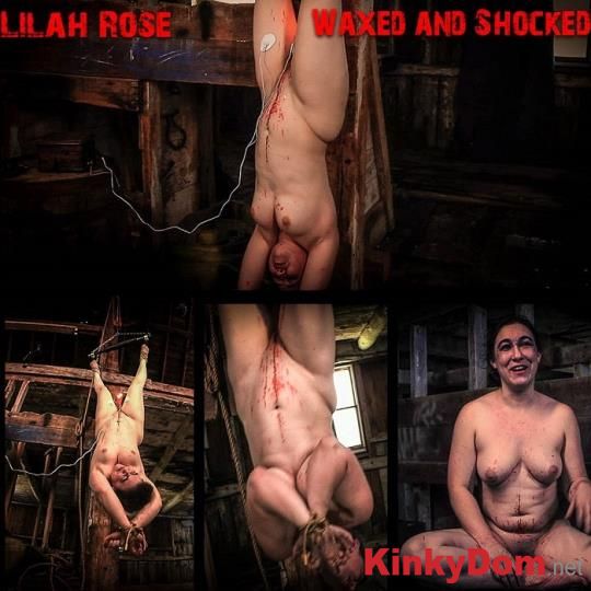 BrutalMaster - Lilah Rose - Waxed and Shocked [1080p] (BDSM)