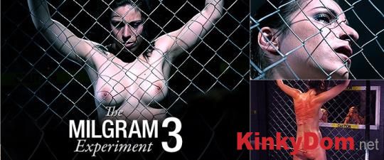 Elite Pain, Maximilian Lomp, Mood Pictures - The Milgram Experiment 3 [720p] (BDSM)