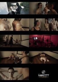 Fancysteel - James Grey - The Auction [1080p] (BDSM)