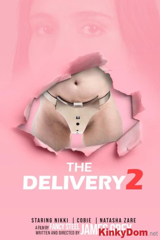 Fancysteel, James Grey - Natasha Zare, Nikki, Cobie - The Delivery 2 [1080p] (BDSM)